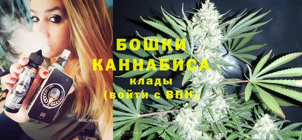 молекула духа Аркадак