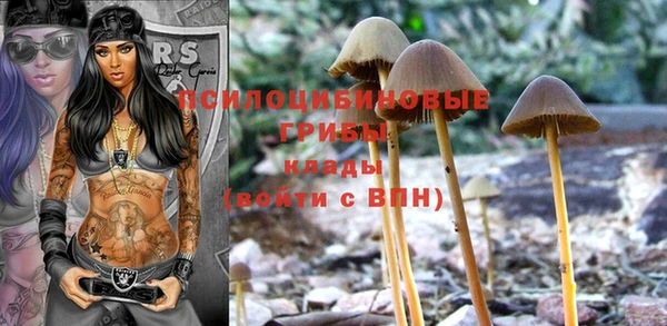 спиды Армянск