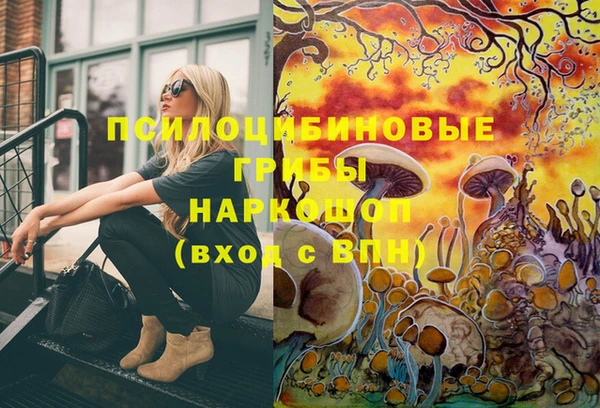 молекула духа Аркадак