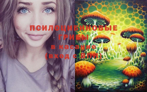 спиды Армянск