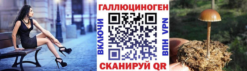 Псилоцибиновые грибы прущие грибы  цены наркотик  Советская Гавань 